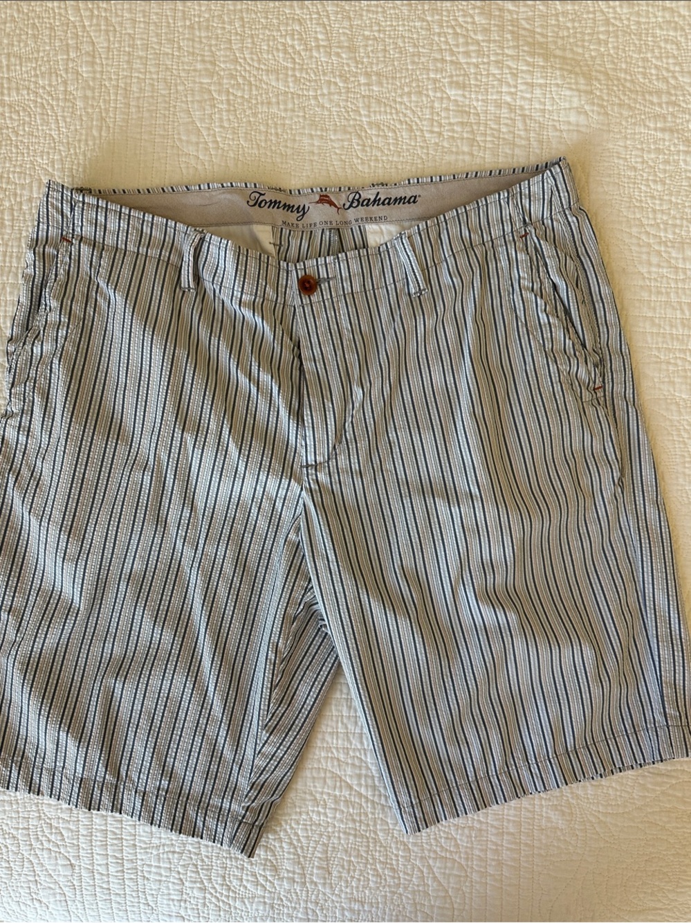 Tommy Bahama Light Blue and Navy Striped Flat Front Shorts